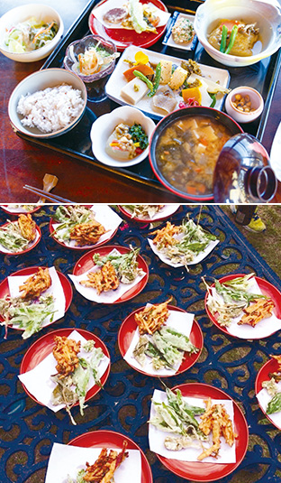 左／「町家カフェもちなが邸」のお昼御膳。雑穀を混ぜたご飯、発酵食品を使った季節の野菜、豆の料理、具だくさんの味噌汁など、日本人の食の原点ともいうべき料理が提供される　下／九州の伝統食といわれるサツマイモを使った「ガネ」（写真提供：蒲生芳子さん）