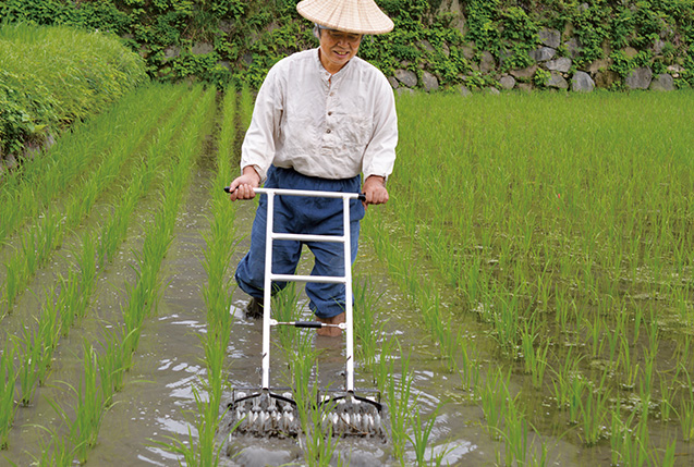 『いのちの環』特集_158_写真7