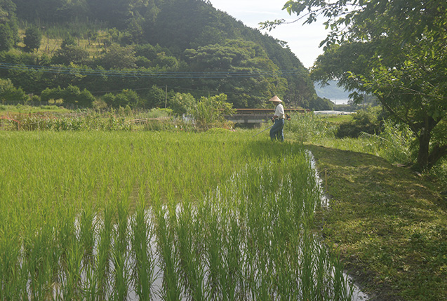 『いのちの環』特集_158_写真8