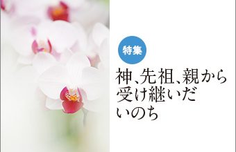 『いのちの環』特集_159_トップ画像
