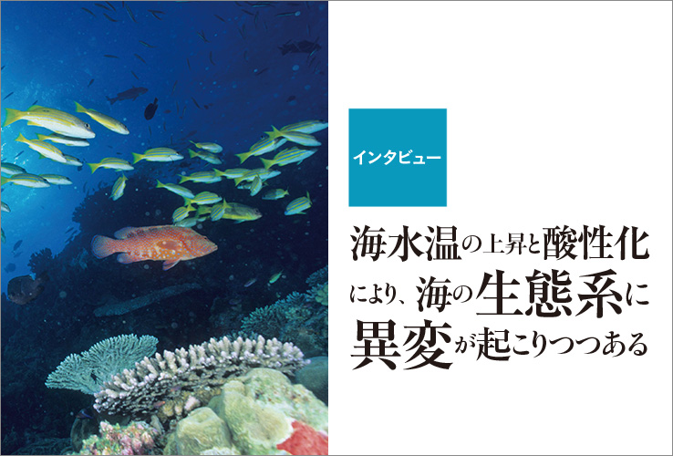 『いのちの環』インタビュー_163_アイキャッチ画像