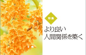 『白鳩』特集手記_163_トップ画像