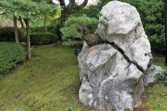 hidokei_kaisetsu_title