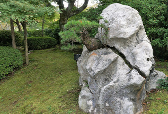 hidokei_kaisetsu_top
