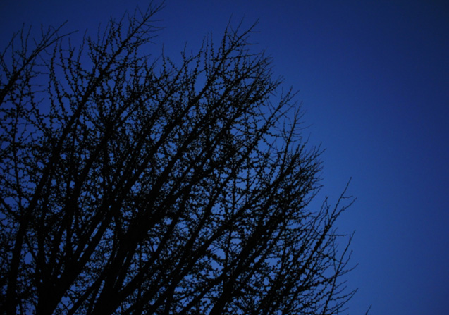 inoti_tokumei_２