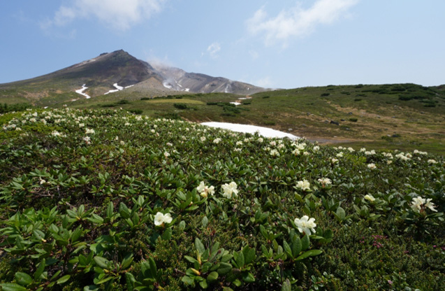 inoti_turning_5(左右いっぱい)