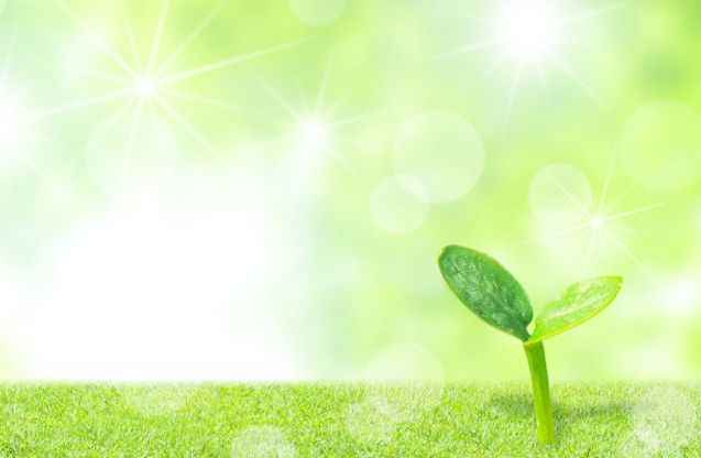 siro_syuki_7左右いっぱい)