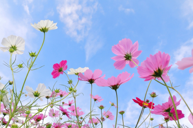 hidokei_kaisetsu_title