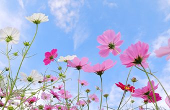 hidokei_kaisetsu_top