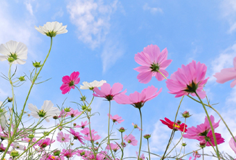 hidokei_kaisetsu_top