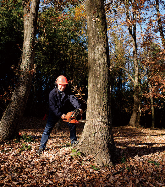 裏山で木の伐採作業をする。長年、C型肝炎で苦しんできたとは思えないほど元気だ（写真／堀　隆弘） 