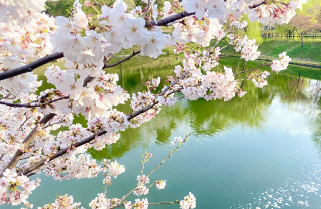 inoti_rupo_9(左右いっぱい)