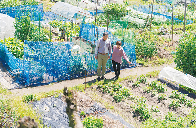 春の日差しを受けて、市民農園の野菜も勢いよく葉を茂らせていた。「市民農園は、都市部にすむ鳥や虫たちの貴重な緑地でもあります」(写真/髙木あゆみ)
